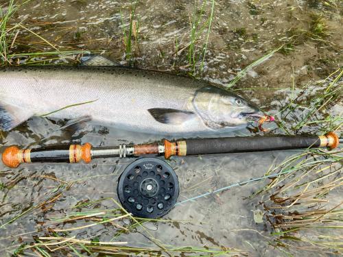salmononspey
